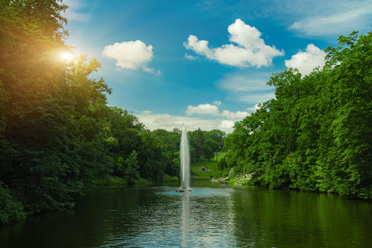 green trees beside body of water under blue sky and white clouds during daytime