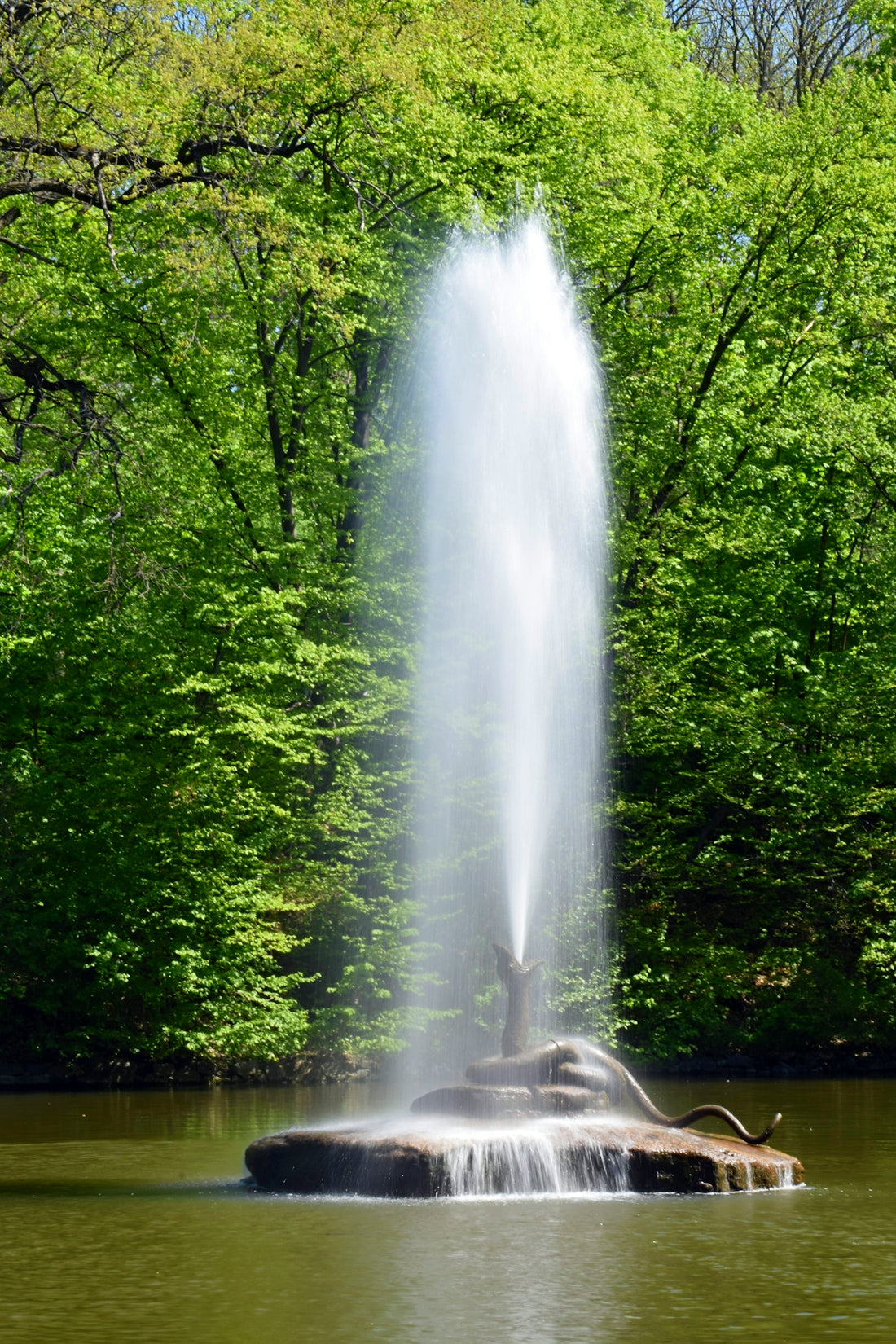 a fountain spewing water into a lake surrounded by trees