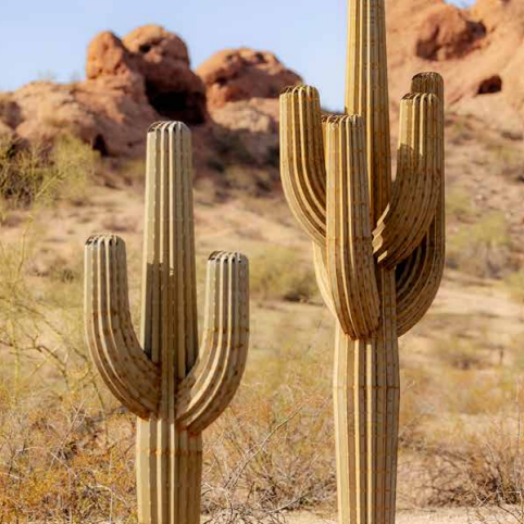Saguaro Steel Cactus With 2 Arms