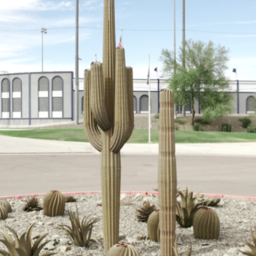 Saguaro Steel Cactus 7 feet With 2 Arms