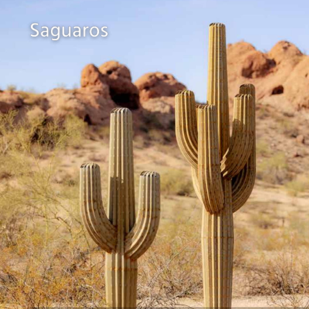 Saguaro Steel Cactus 7 feet With 2 Arms