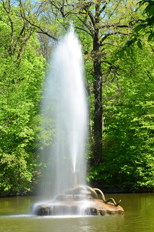 a fountain spewing water into a pond surrounded by trees
