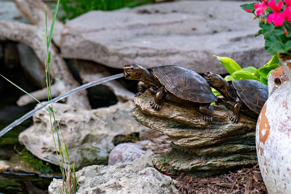 Double Turtle On Log Spitter