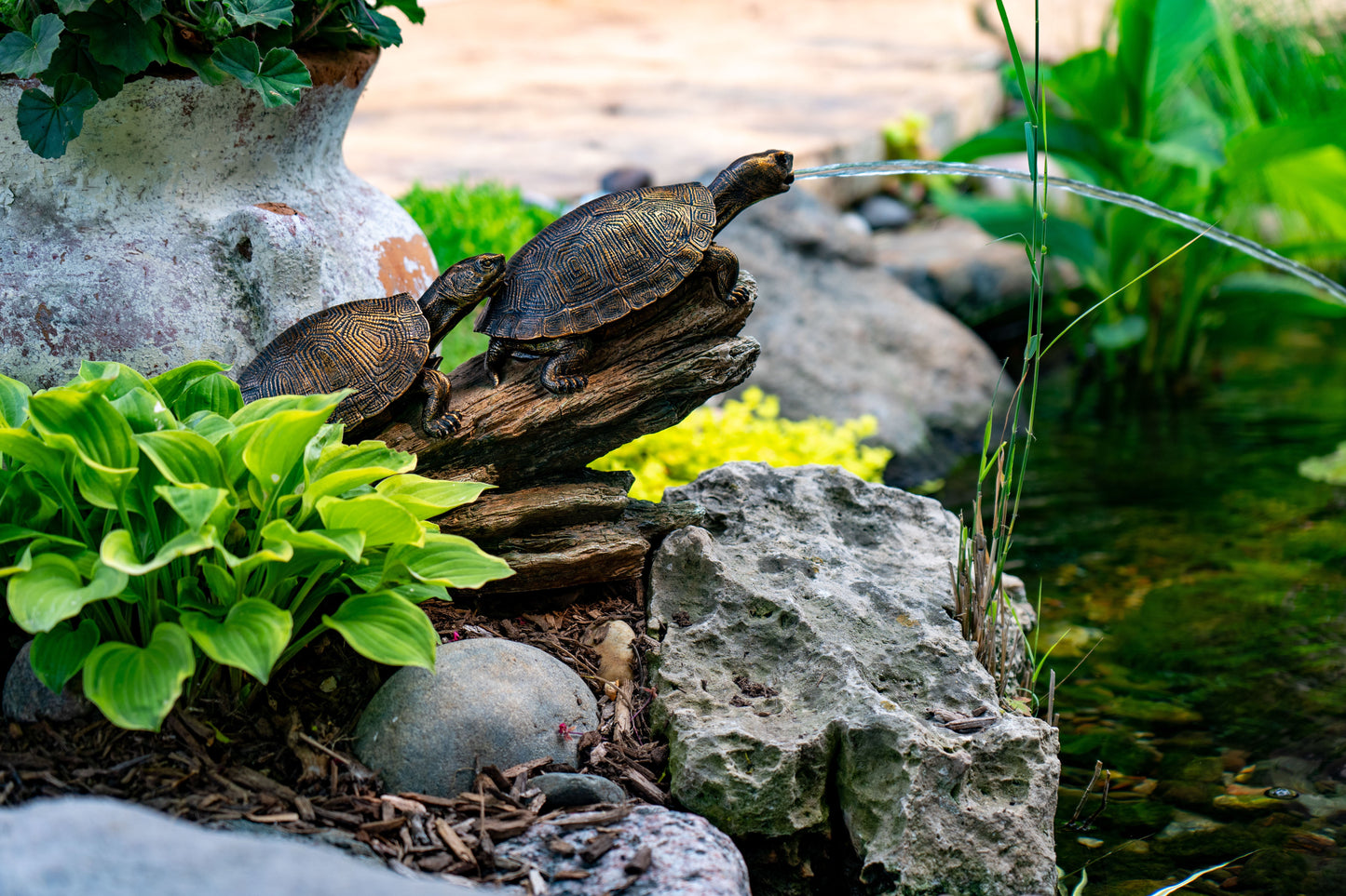 Double Turtle On Log Spitter